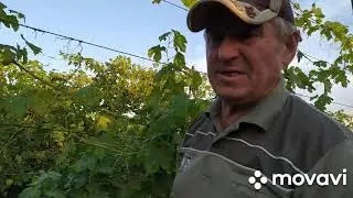 В гостях у селекціонера Калугіна Віктора Михайловича. Част 2. Каталог посадкового матеріалу в описі.
