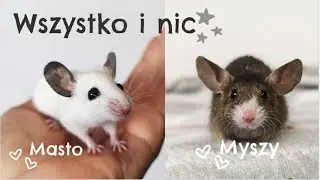 Myszy, mastomysy, mioty... Wszystko i nic🐾