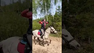 Конная прогулка в красивом лесу 🐴🌲 