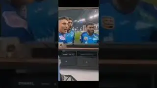 смешные видео про животных