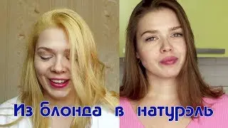 Как отрастить свой цвет волос/DIY растяжка цвета волос/ как выйти из блонда