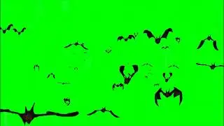#35 | Flying Bats | Flying bats Green Screen | T G S A