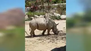 Vinpearl zoo