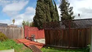 Windy Day in the Bay Area