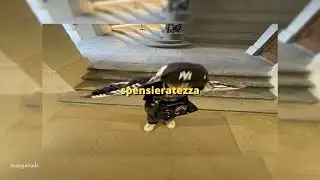 psicologi - spensieratezza (sped up)