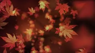 BTTB Music Project - Symphony for a promising fall