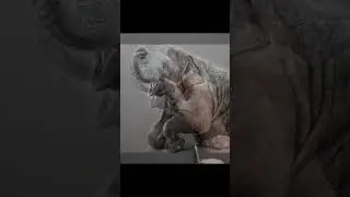 To celebrate World Elephant Day, I thought I'd share my baby elephant tutorial 🐘 #realisticdrawing