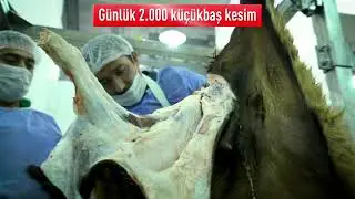 Et ve Süt Kurumu Van Kombinası