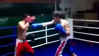 Работа на лапах:$