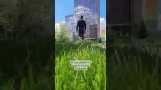 Шаги в будущее