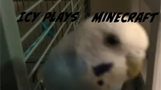 Icy plays Minecraft part 1: Surviving a night