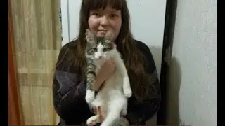 Как избавиться от блох в домашних условиях
