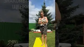 Знакомьтесь, щенки😍