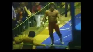 The British Bulldogs vs. Kuniaki Kobayashi & Fumihiro Niikura [fan cam 2] (12.05.1985)