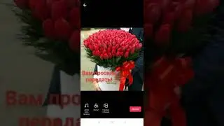 Тик ток,как создавать из открыток видео поздравление.