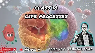 Complete Guide to Life Processes in Class 10 NCERT | Module 4