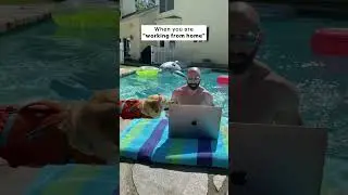 What is your best “working from home” excuse?