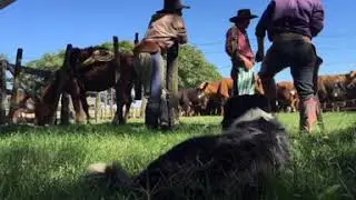 Conocemos a Florencio Molina Campos
