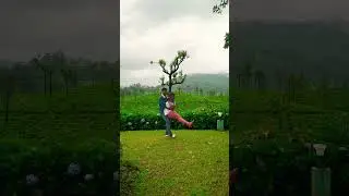 Bungalow surrounded by tea plantation in Tamilnadu India 😍