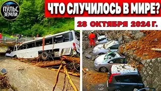 Катаклизмы за день 28.10.2024! катаклизмы сегодня новости сегодня  События Дня чп новый выпуск
