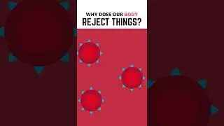 Why Does Our Body Reject Things?