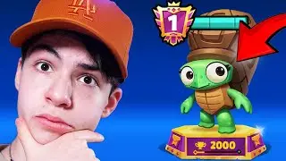 The SECRET to Getting MORE WINS in Zooba!