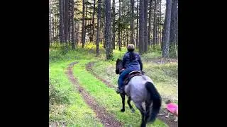 Bridle-less ride on the trail￼