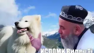 Хочи мирзо
