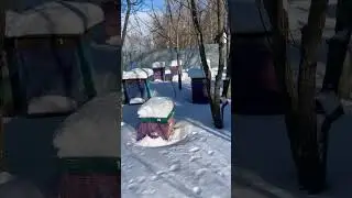 17 января-День Зосимы Пчельника. Зимняя сказка!…