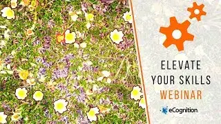 eCognition Webinar: Working with Time Series Image Data as Frames in eCognition