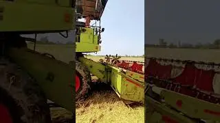 Vishal Combine Harvester Working on Field