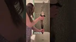 Why ferrets are such unique animals