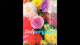 Осеннего сентябрьского доброго утра и хорошего дня сегодня всем!!