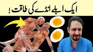 The Power of One Egg Daily - Dr Irfan Azeem
