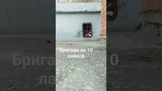 бригада на 10 лайков