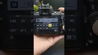 Nikon D5600 Active D Lighting 