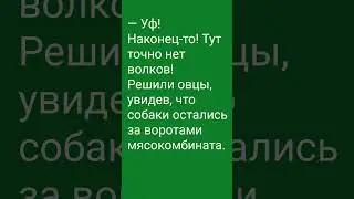 29 серпня 2024 р.