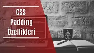 #34 Padding Özellikleri [HTML, CSS, Flexbox , Bootstrap Eğitim Dersleri ]