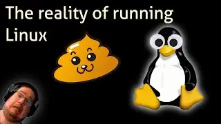 The reality of running Linux