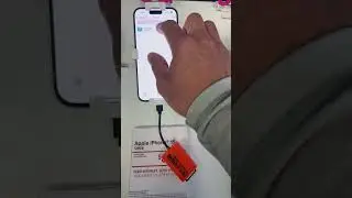 Testing out the BoneView Type-C SD Card Reader on the New iPhone 15 - No App Required - Using FILES