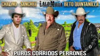 Las 30 Sus Mejores Éxitos Canciones de Beto Quintanilla - Lalo Mora - Chalino Sanchez