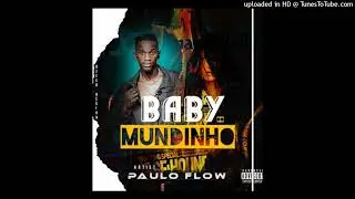 Paulo Flow - Baby Do Mundinho