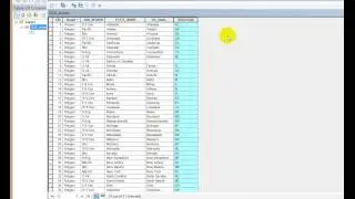 Importing excel data into ArcMap
