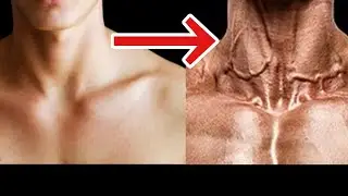 Упражнения для шеи. ТОП-6 упражнений для развития мощной шеи