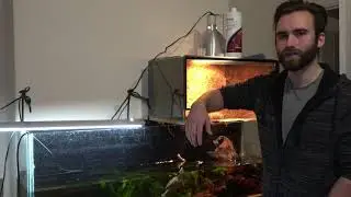 Error 404 - Video Not Found