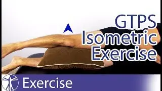 Isometrics Exercise for GTPS | Gluteal Tendinopathy