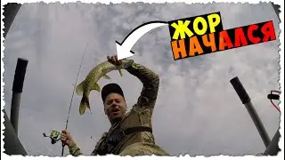 POLTAVA / AUGUST 2021 / In this river the PIKE FEEDING HAS ALREADY BEGUN / Twitching / PIKE fishing