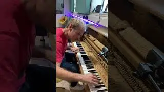 Out of tune pianos are the best!