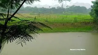 বৃষ্টিতে গ্রামীণ প্রকৃতি | Rain in Village 