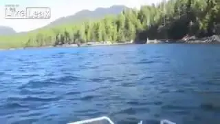 fish eagle snatched the boat ( kartal teknedeki balığı kaptı )